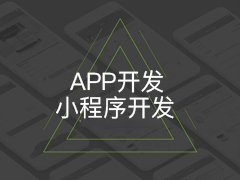 APP开发 / 小程序开发